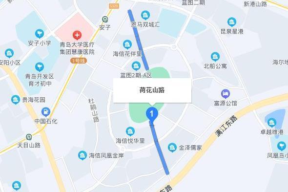 荷花山路