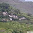 窪落村 窪落村