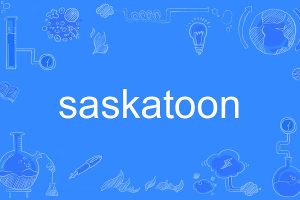 saskatoon saskatoon