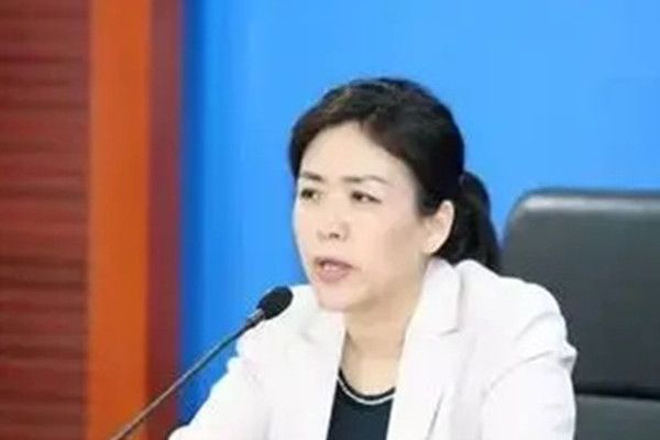 鄒宏英(中國中冶副總裁,總會計師) 鄒宏英(中國中冶副總裁,總會計師)