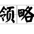領略 領略