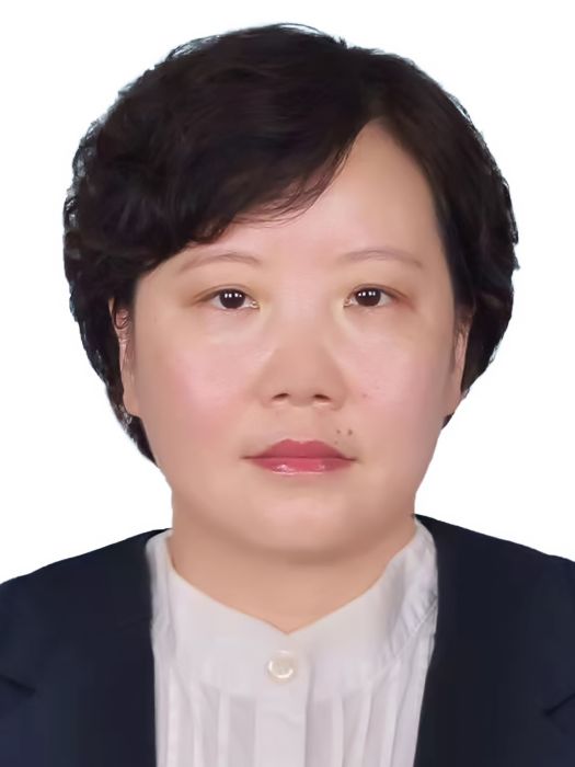 楊梅(四川省成都市新津區人大常委會黨組成員、副主任) 楊梅(四川省成都市新津區人大常委會黨組成員、副主任)