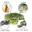 微生物污染
