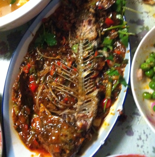 四川紅燒魚