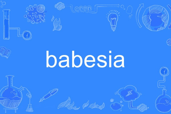 babesia babesia