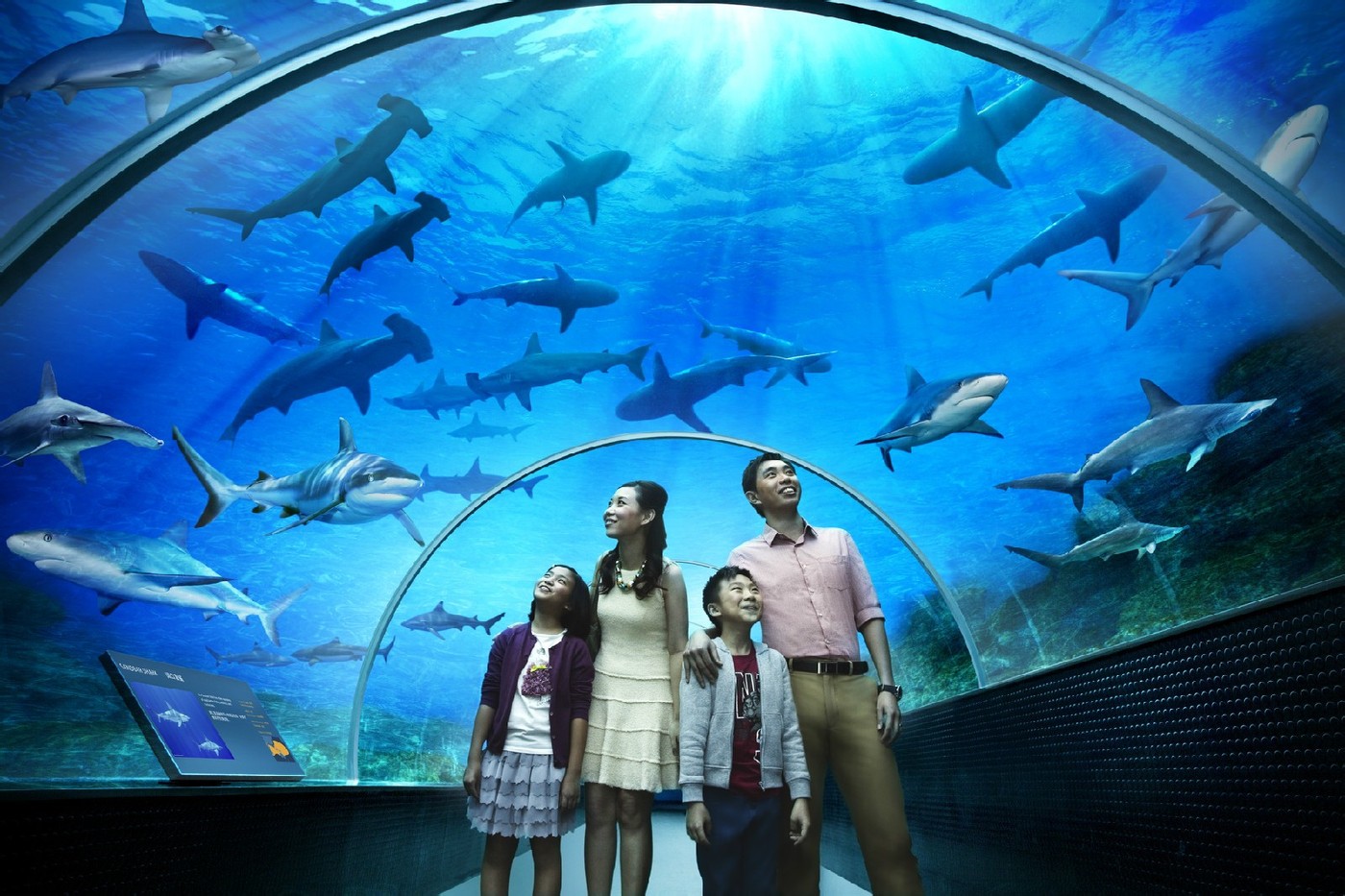 新加坡海洋生物園