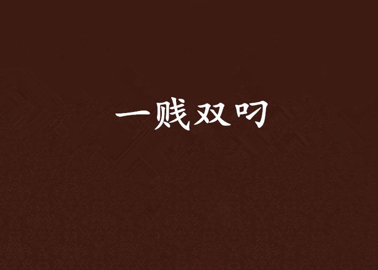 一賤雙叼 一賤雙叼