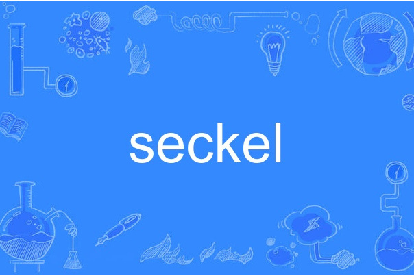 seckel seckel
