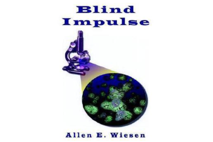 Blind Impulse Blind Impulse