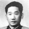 楊力人 楊力人