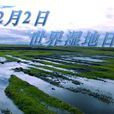 世界濕地日