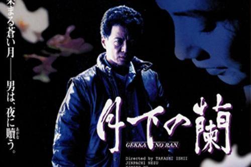 月下之蘭 月下之蘭