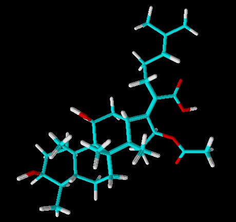 夫西地酸分子模型