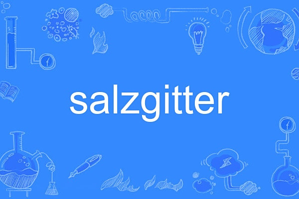 salzgitter salzgitter