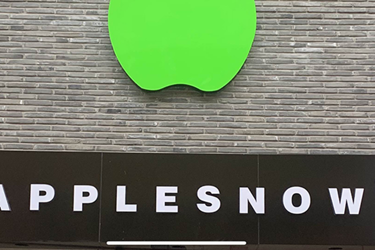 APPLE SNOW APPLE SNOW