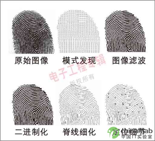 指紋識別系統