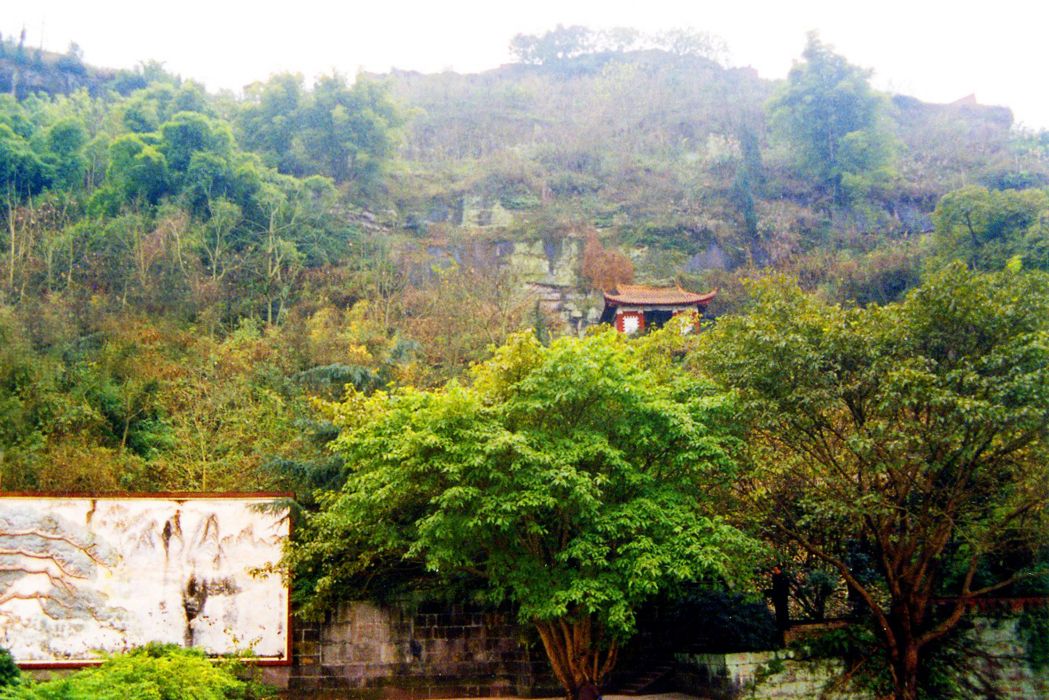 楊森花園 楊森花園