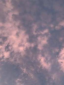 生之縮影 生之縮影