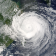 颱風雲娜(雲娜（2004年颱風）)