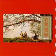 衣錦還鄉(1989年羅大佑音樂專輯) 衣錦還鄉(1989年羅大佑音樂專輯)