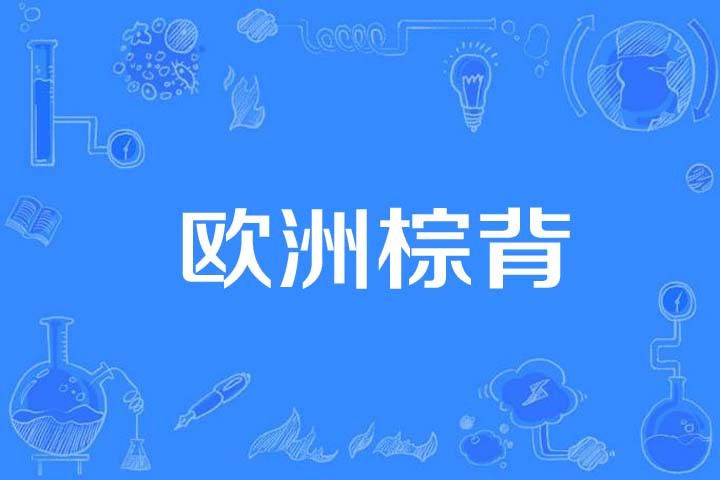 歐洲棕背 歐洲棕背