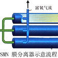 SMN氮膜系統