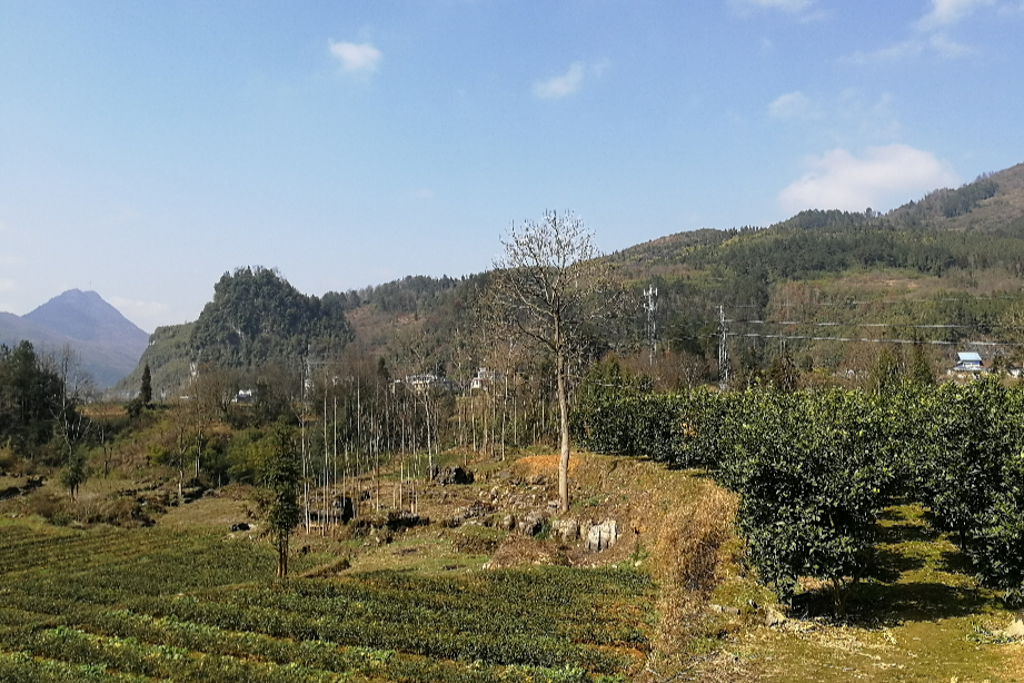 黃土壩村(湖南省懷化市靖州苗族侗族自治縣下轄村) 黃土壩村(湖南省懷化市靖州苗族侗族自治縣下轄村)