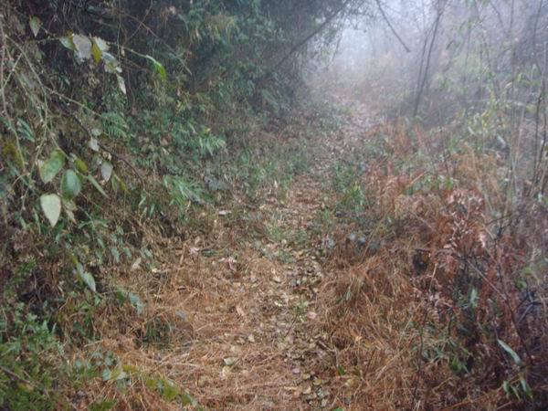 覆釜嶺古道 覆釜嶺古道