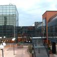 環境毒理學(2010年化學工業出版社出版的圖書) 環境毒理學(2010年化學工業出版社出版的圖書)