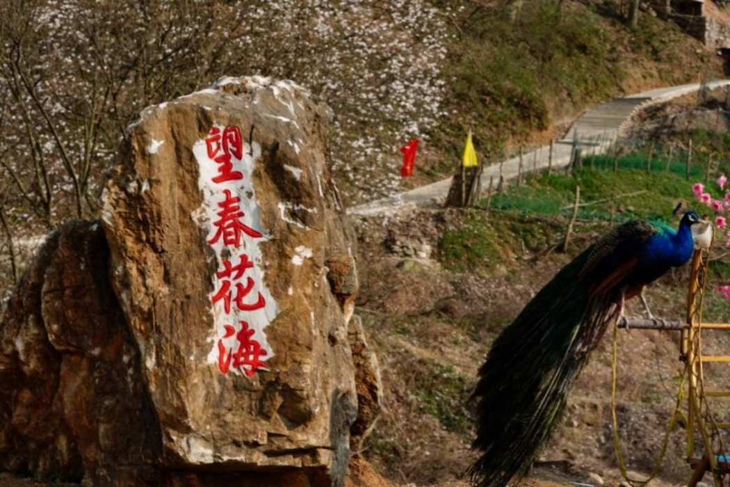 望春谷 望春谷