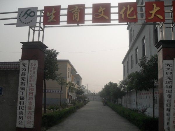 王福村 王福村