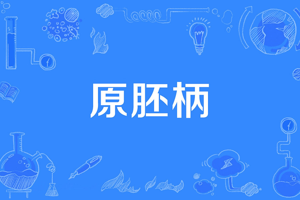 原胚柄 原胚柄