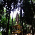 石塔寺石塔 石塔寺石塔