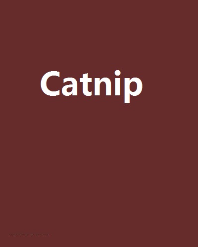 Catnip(網路小說)
