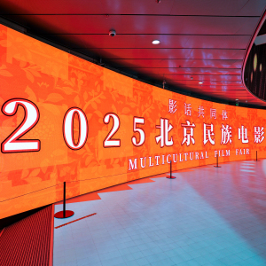 綁架者(2025年孫振東執導的電影)