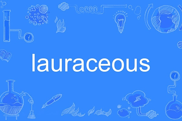 lauraceous lauraceous