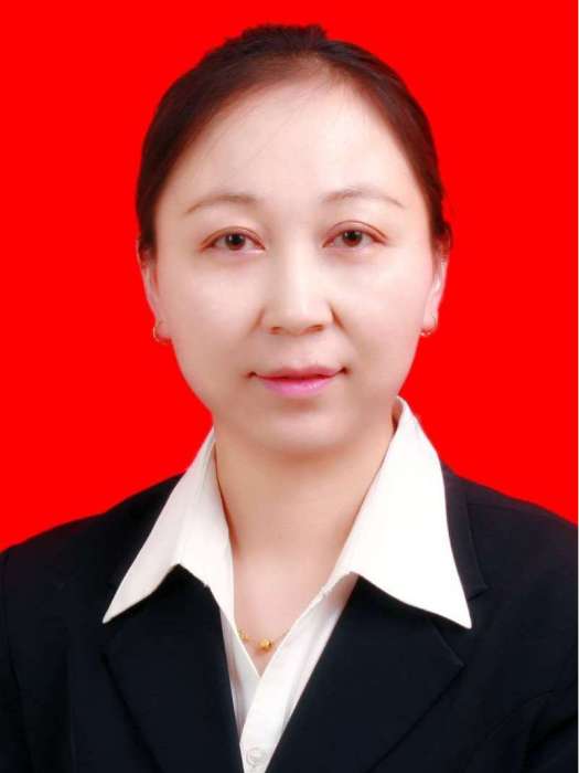 李靜(固原市涇源縣政府副縣長)