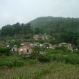 上巴東村 上巴東村