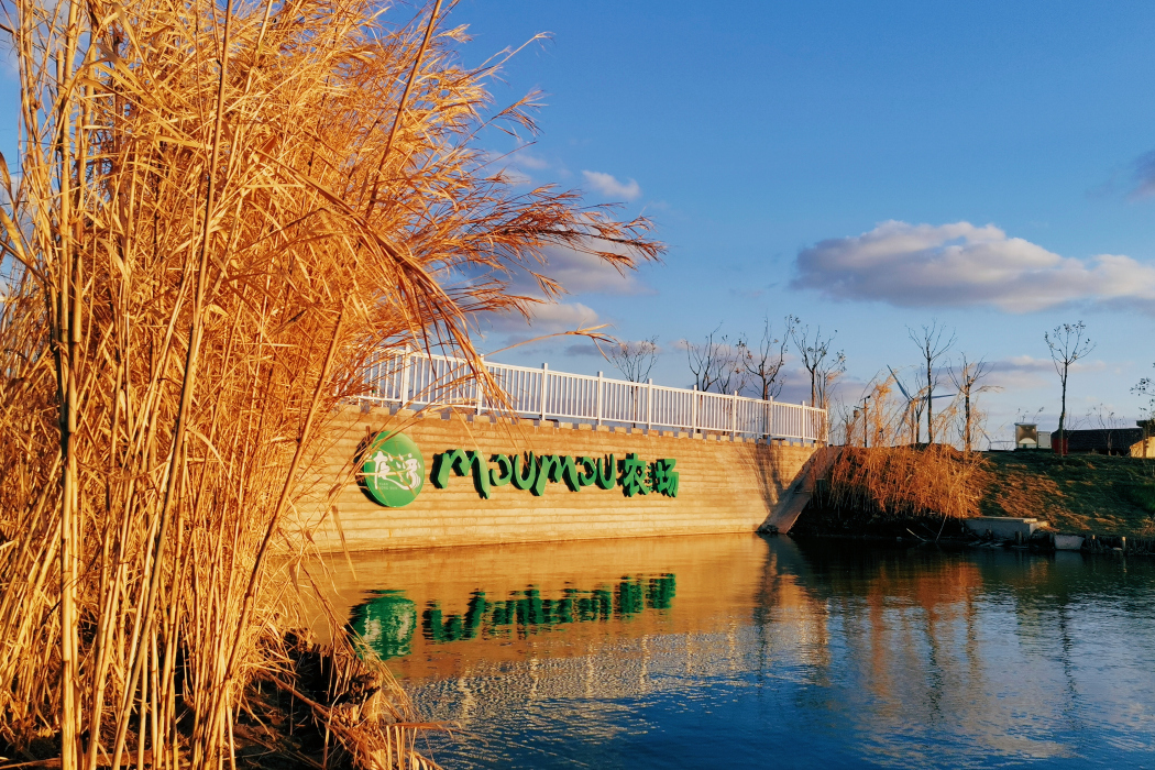 MOUMOU農場 MOUMOU農場
