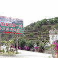 鳳山鎮(雲南省鳳慶縣鳳山鎮) 鳳山鎮(雲南省鳳慶縣鳳山鎮)