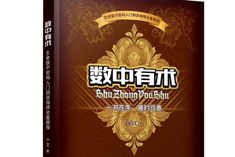 數中有術(2021年聯合文化出版社出版的圖書) 數中有術(2021年聯合文化出版社出版的圖書)