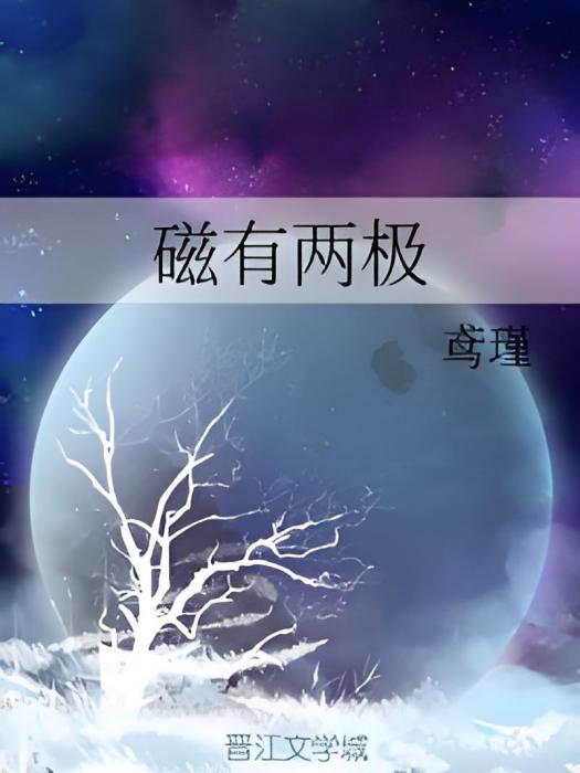 磁有兩極
