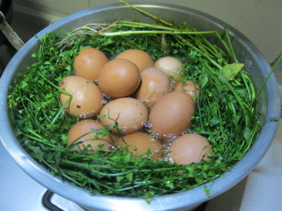 薺菜花煮蛋