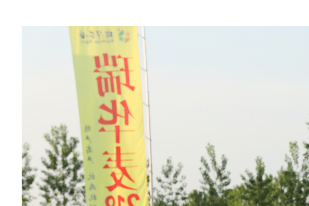 瑞華麥516 瑞華麥516