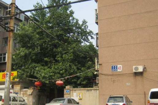 廊東街