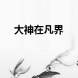 大神在凡界 大神在凡界