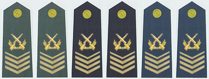 陸海空軍一級軍士長軍銜肩章(2009—)