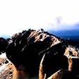 阿爾山火山 阿爾山火山