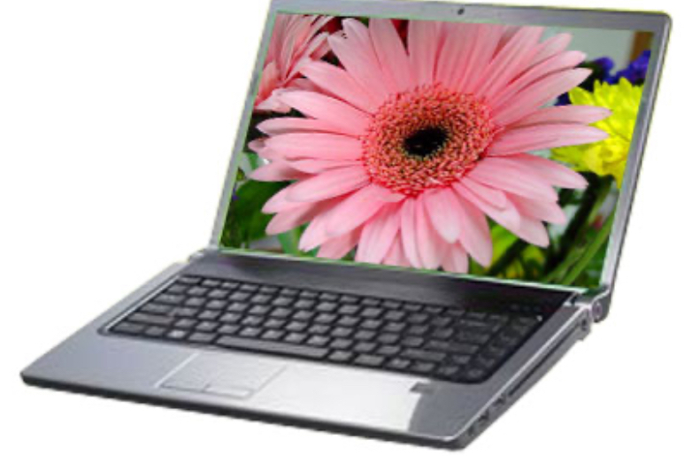 戴爾Studio 1536(R510991R) 戴爾Studio 1536(R510991R)