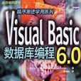 Visual Basic 6.0 資料庫編程